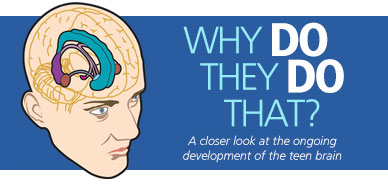 Why Do They Do That? A Closer Look at the Ongoing Development of the Teen Brain