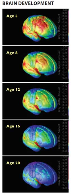 Why Do They Do That? A Closer Look at the Ongoing Development of the Teen Brain